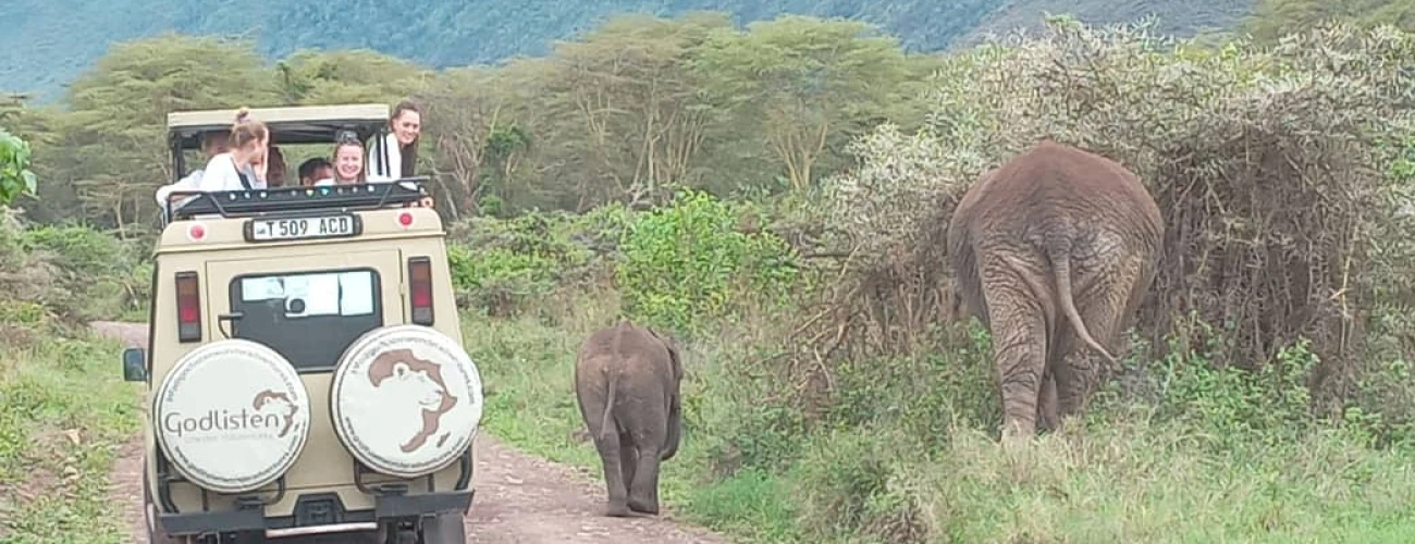 Why Tanzania Safaris