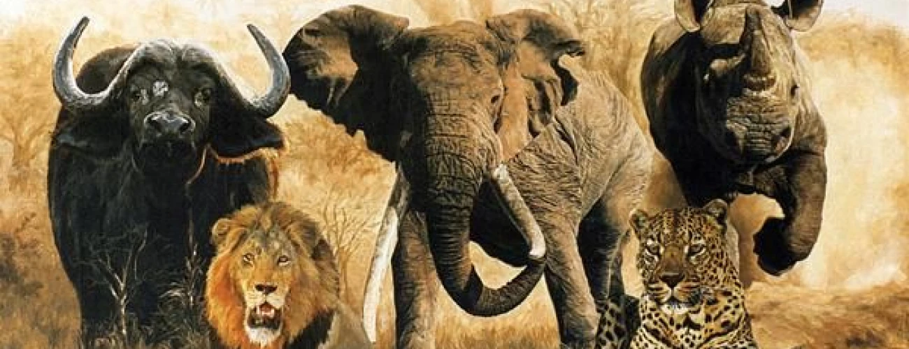 Where can I see the Big Five in Tanzania?