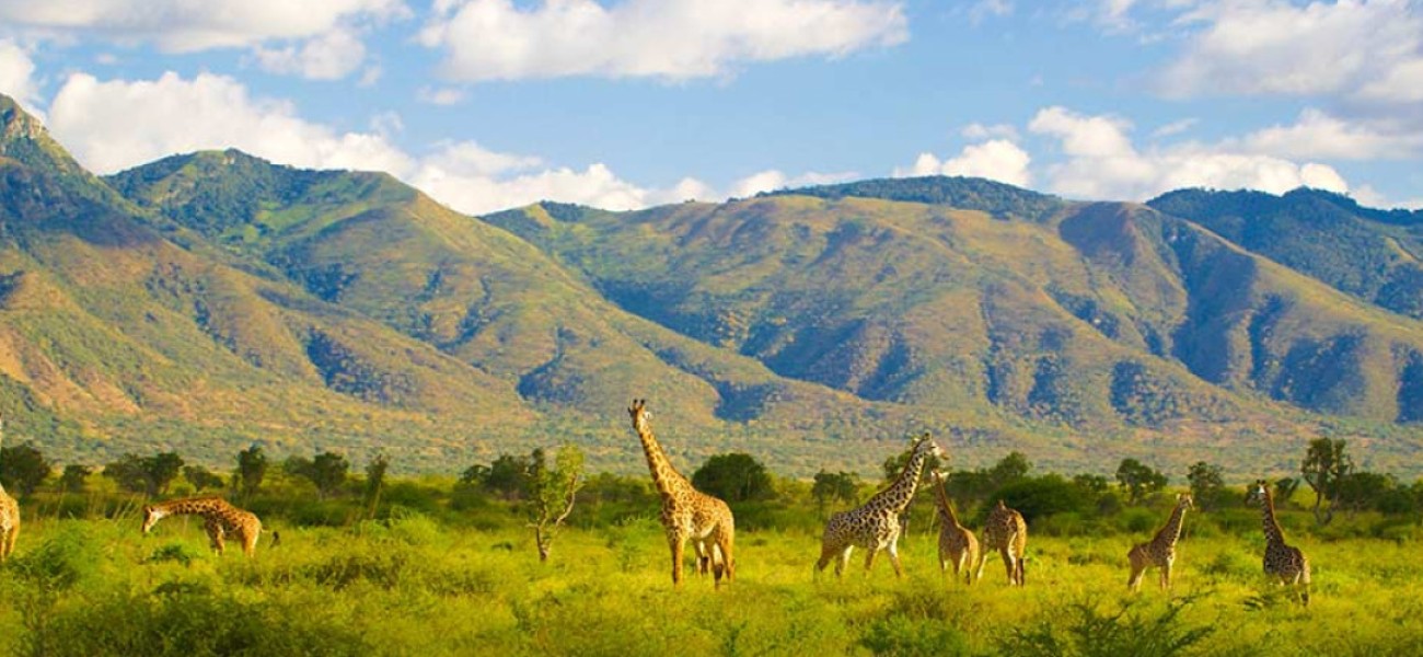 Serengeti Sunset