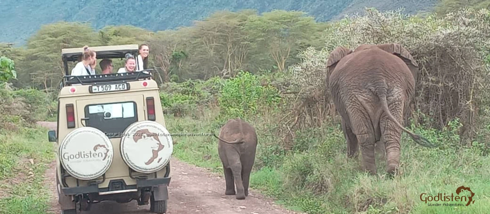 Tarangire And Ngorongoro Crater Safari