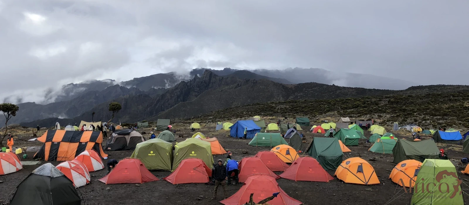 Lemosho Route to the Roof of Africa