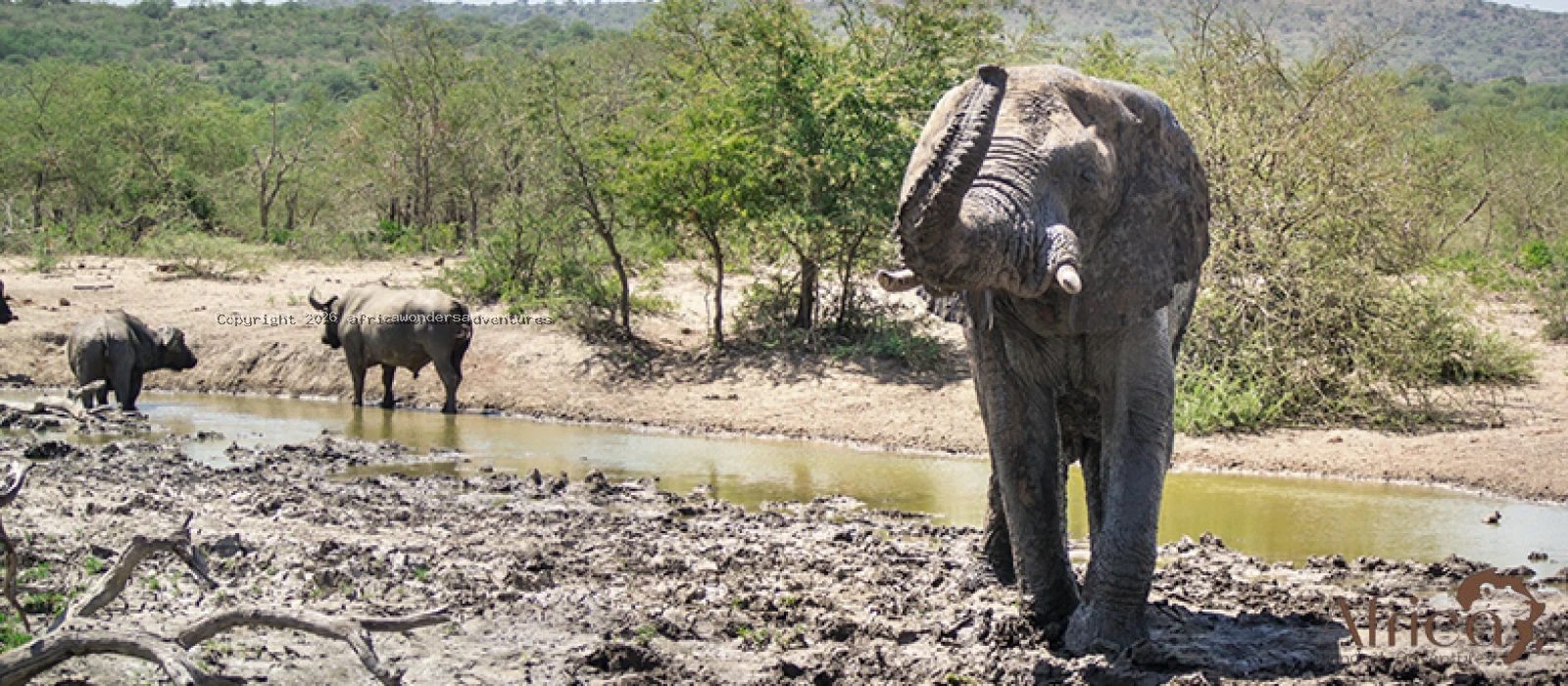 Tarangire And Ngorongoro Crater Safari