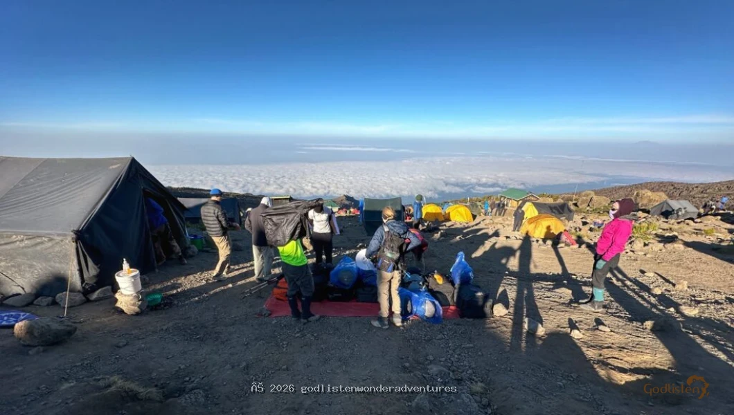 Day 6 image